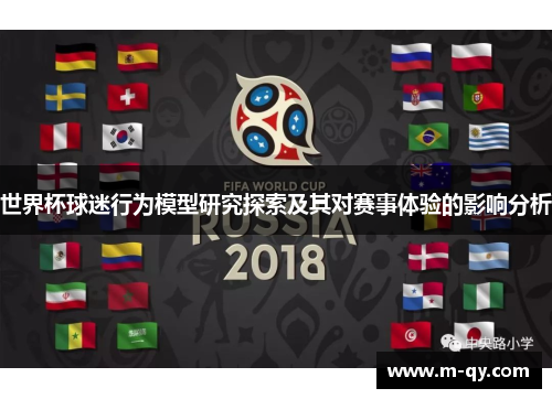 世界杯球迷行为模型研究探索及其对赛事体验的影响分析