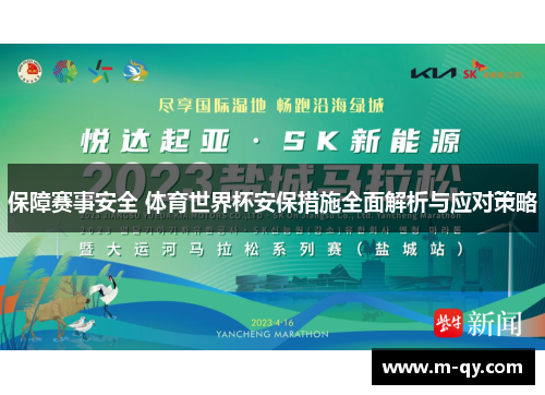 保障赛事安全 体育世界杯安保措施全面解析与应对策略