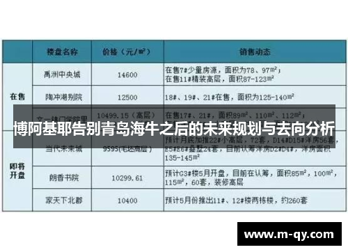 博阿基耶告别青岛海牛之后的未来规划与去向分析