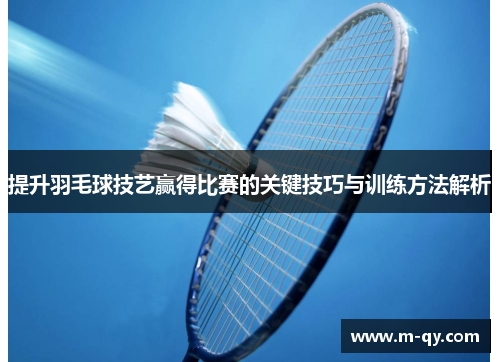 提升羽毛球技艺赢得比赛的关键技巧与训练方法解析