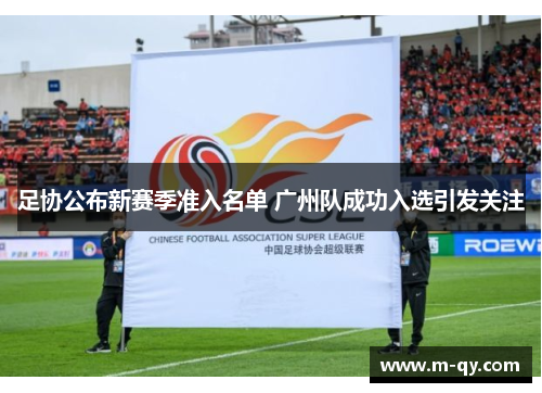 足协公布新赛季准入名单 广州队成功入选引发关注