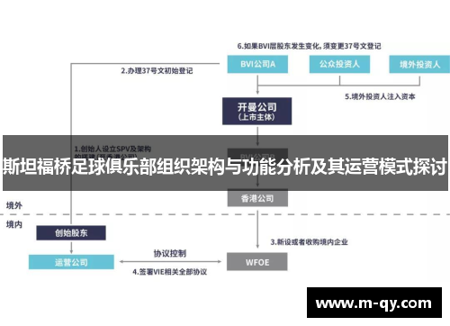 斯坦福桥足球俱乐部组织架构与功能分析及其运营模式探讨