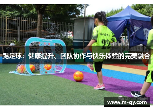 踢足球：健康提升、团队协作与快乐体验的完美融合
