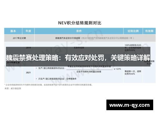 魏震禁赛处理策略：有效应对处罚，关键策略详解