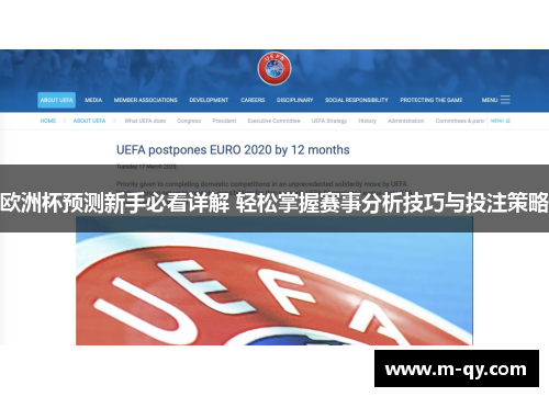 欧洲杯预测新手必看详解 轻松掌握赛事分析技巧与投注策略